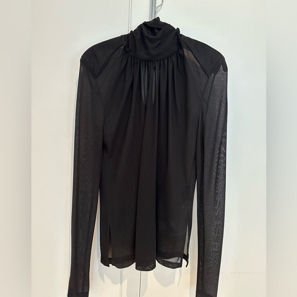 Sexy sheer turtle neck top